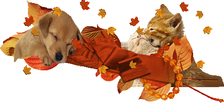 Résultats de recherche d'images pour « chien automne.BISOUS GIF »