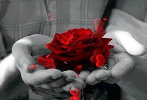 500x200-1_1.gif