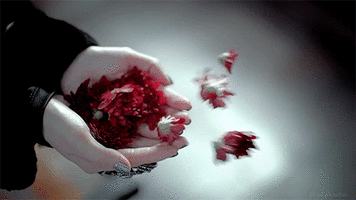 500x200-8.gif