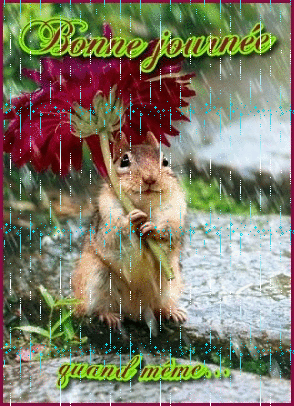 RÃ©sultat de recherche d'images pour "gif bon mercredi pluie"