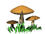 8e1b9fb3.gif