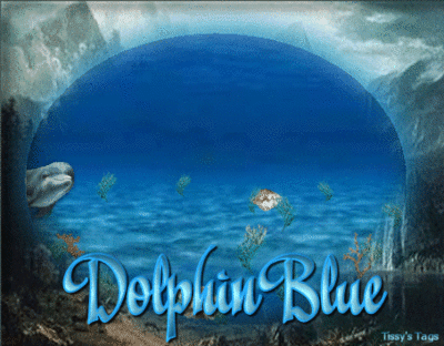 Dolphin.gif