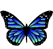 insectes-papillons-00003.gif