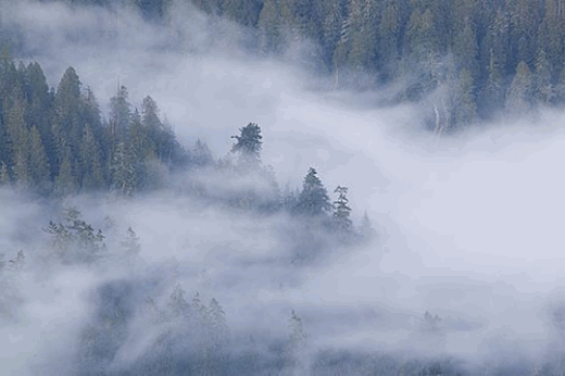 Résultat de recherche d'images pour "brouillard gif animé"